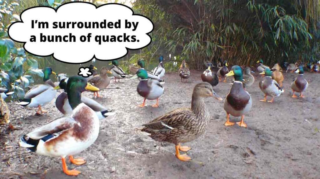 170314-marketing-strategies-ask-employees