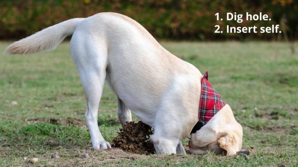 170518-b2b-sales-pitch-digging-a-hole-1-1024x576