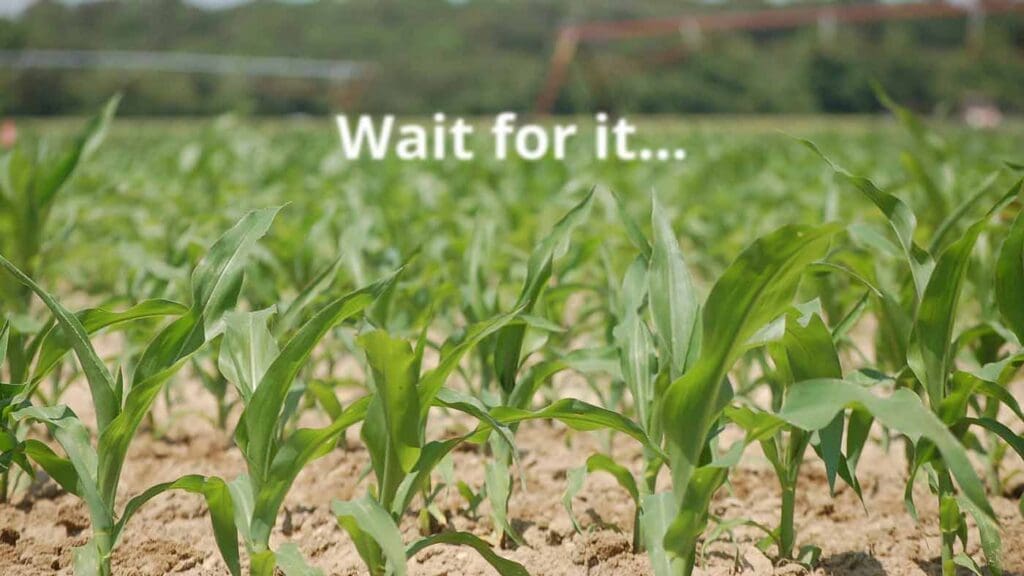 170615-revenue-growth-patience