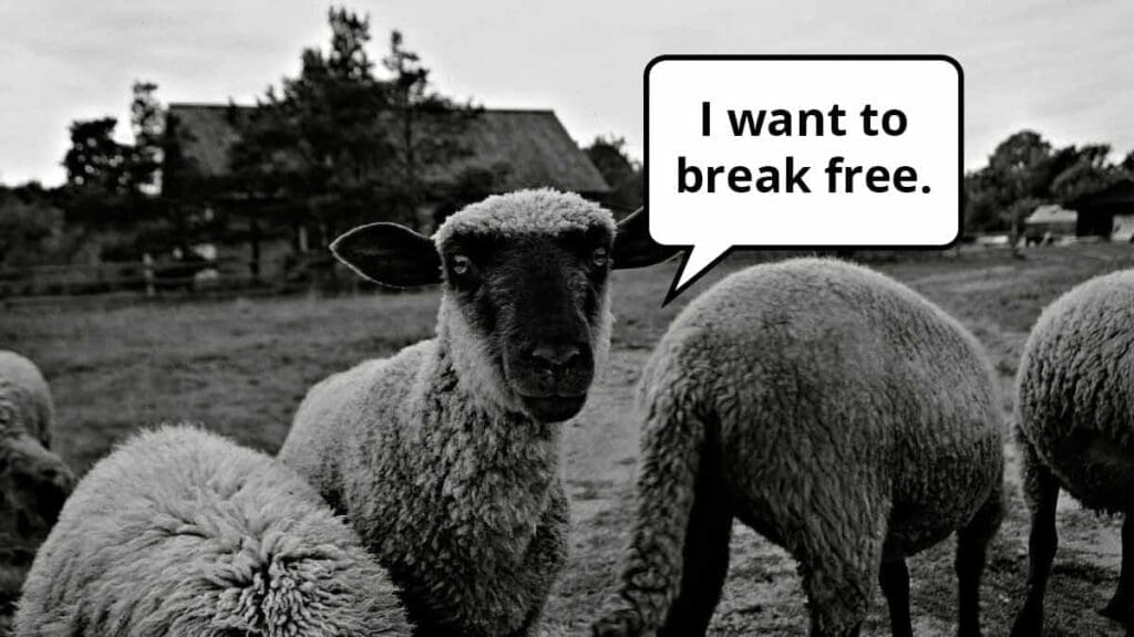 170912-b2b-marketing-plans-breaking-free-from-the-herd