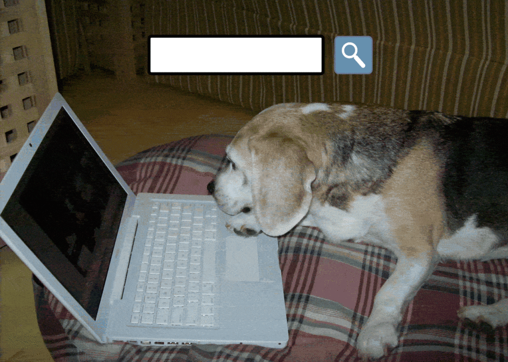 171211-revenue-funnel-fox-hunt