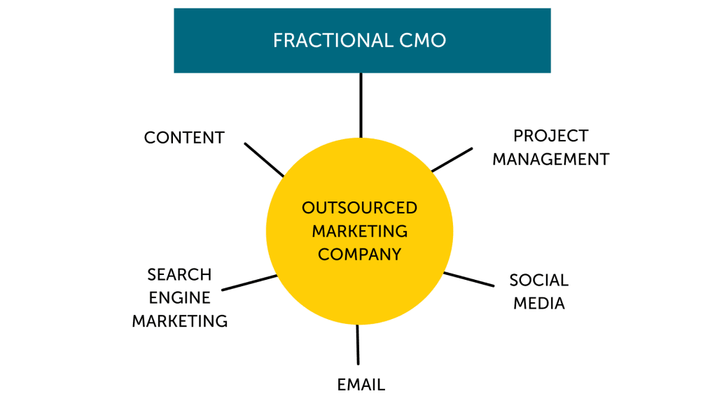 infographic showcasing how a fractional CMO and fractional marketing team provide value through varied services